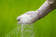 Selling Urea 46%,   Ammonium nitrate(chemical fertilizers) for export.
